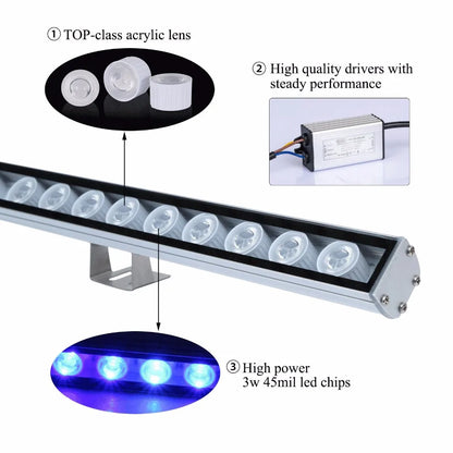 Blue Reef Blade Light